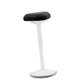 Ergo Stool